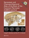 Stereotaxic and Chemoarchitectural Atlas of the Brain of the Common Marmoset