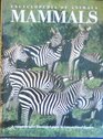 Encyclopedia of Animals Mammals