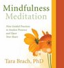 Mindfulness Meditation: Nine Guided Practices to Awaken Presence and Open Your Heart (Audio CD) (Abridged)