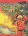Blazing Bush and Forest Fires