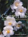 Camellias The Gardener's Encyclopedia