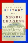 A Complete History of the Negro Leagues 18841955
