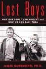 Lost Boys : Why our Sons Turn Violent and How We Can Save Them