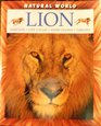 Lion Habitats Life Cycles Food Chains Threats