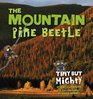 The Mountain Pine Beetle