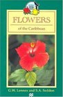 Flowers of the Caribbean the Bahamas and Bermuda
