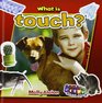 What Is Touch