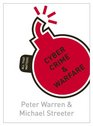 Cyber Crime  Warfare All That Matters