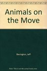 Animals in the Air (Animals on The Move)