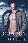 The Cowboy The King Family Book Four