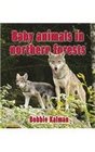 Baby Animals in Northern Forests
