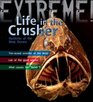 Extreme Science Life in the Crusher Mysteries of the Deep Oceans