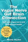 The Vagus Nerve Gut Brain Connection Heal Your Vagus Nerve and Improve Gut Health