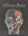 The Human Body A PopUp Guide to Anatomy