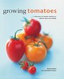 Growing Tomatoes A Directory Of Varieties And How To Cultivate Them Successfully