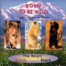 Born to be Wild  The Bears