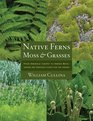 Native Ferns Moss and Grasses From Emerald Carpet to Amber Wave Serene and Sensuous Plants for theGarden