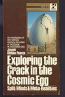 Exploring the Crack in the Cosmic Egg Split Minds  MetaRealities