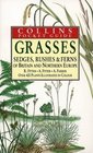 Grasses Sedges Rushes and Ferns of Britain and Northern Europe