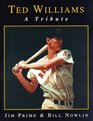 Ted Williams A Tribute