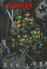 Teenage Mutant Ninja Turtles The Ultimate Collection Volume 3