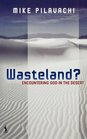 Wasteland Encountering God in the Desert