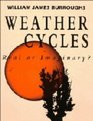 Weather Cycles Real or Imaginary