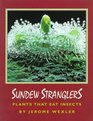 Sundew Stranglers Plants That Eat Insects