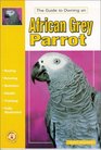 The Guide to Owning an African Grey Parrot