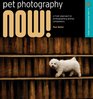 Pet Photography NOW A Fresh Approach to Photographing Animal Companions