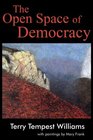 The Open Space of Democracy