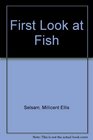 First Look at Fish