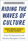 Riding the Waves of Culture Understanding Diversity in Global Business 3/E