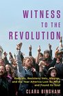 Witness to the Revolution Radicals Resisters Vets Hippies and the Year America Lost Its Mind and Found Its Soul