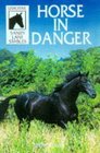 Horse in Danger