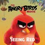 The Angry Birds Movie Seeing Red