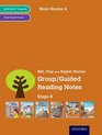 Oxford Reading Tree Stage 8 More Stories Group/Guided Reading Notes