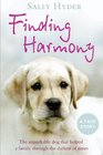 Finding Harmony The Dog that Taught a Young Woman to Live Again