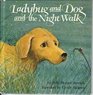 Ladybug and Dog and the Night Walk
