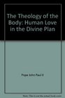 The Theology of the Body Human Love in the Divine Plan