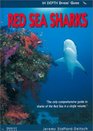 Red Sea Sharks in Depth Diver's Guide