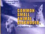 Common Small Animal Medical Diagnoses An Algorithmic Approach