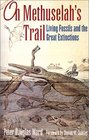 On Methuselah's Trail Living Fossils and the Great Extinctions