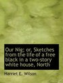 Our Nig or Sketches from the life of a free black in a twostory white house North