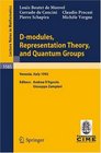 Dmodules Representation Theory and Quantum Groups Lectures given at the 2nd Session of the Centro Internazionale Matematico Estivo  held  Firenze