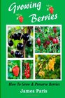 Growing Berries How To Grow And Preserve Berries