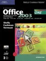 Microsoft Office 2003 Introductory Concepts And Techniques