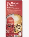 Anatomical Chart Company's Illustrated Pocket Anatomy Muscular and Skeletal Systems Study Guide