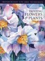 Painting Flowers and Plants