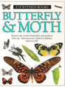 Butterfly  Moth